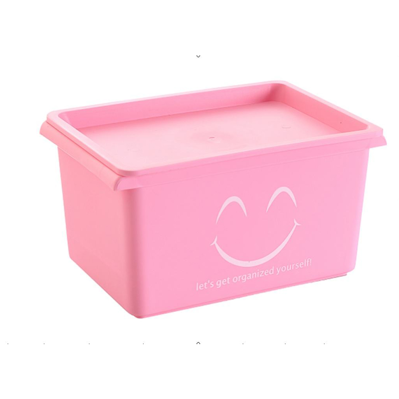 Storage box mould